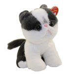 Yang the Cat 2018 Version reference photo