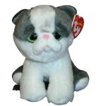 Yang the Cat 2019 Version reference photo