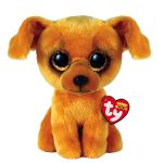 Zuzu the Dog reference photo
