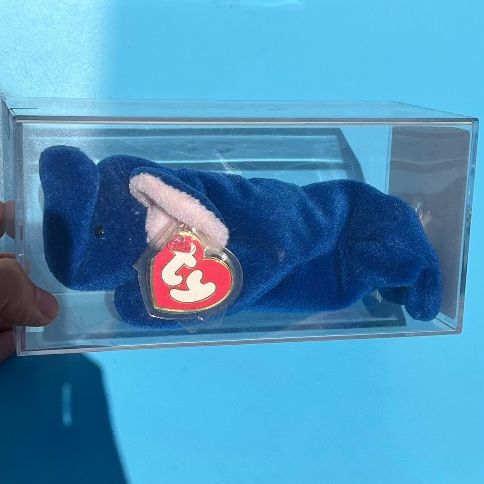 Royal blue Peanut the elephant Beanie Baby in a display case